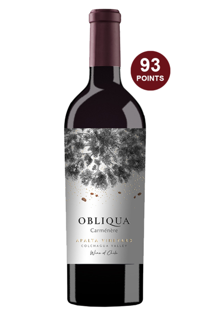 Ventisquero Obliqua Carmenere
