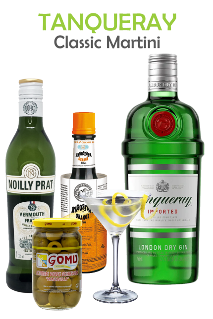 Tanqueray Classic Martini Cocktail Kit